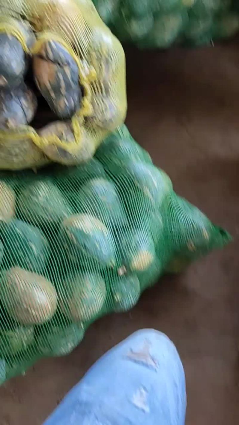 香芋南瓜