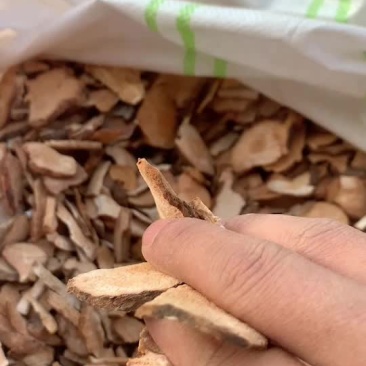 土茯苓