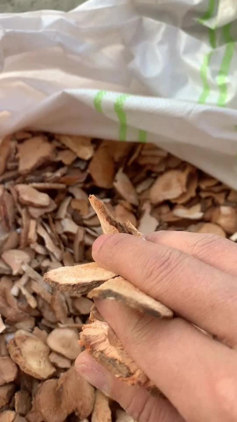 土茯苓