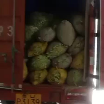精品芸豆大量供应超市。市场。小贩