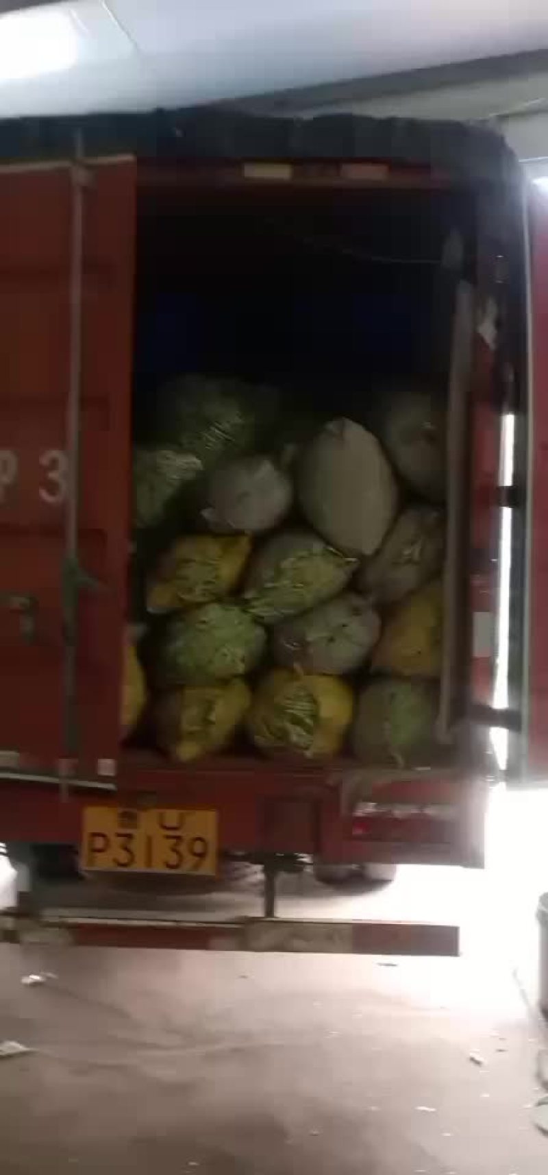 精品芸豆大量供应超市。市场。小贩