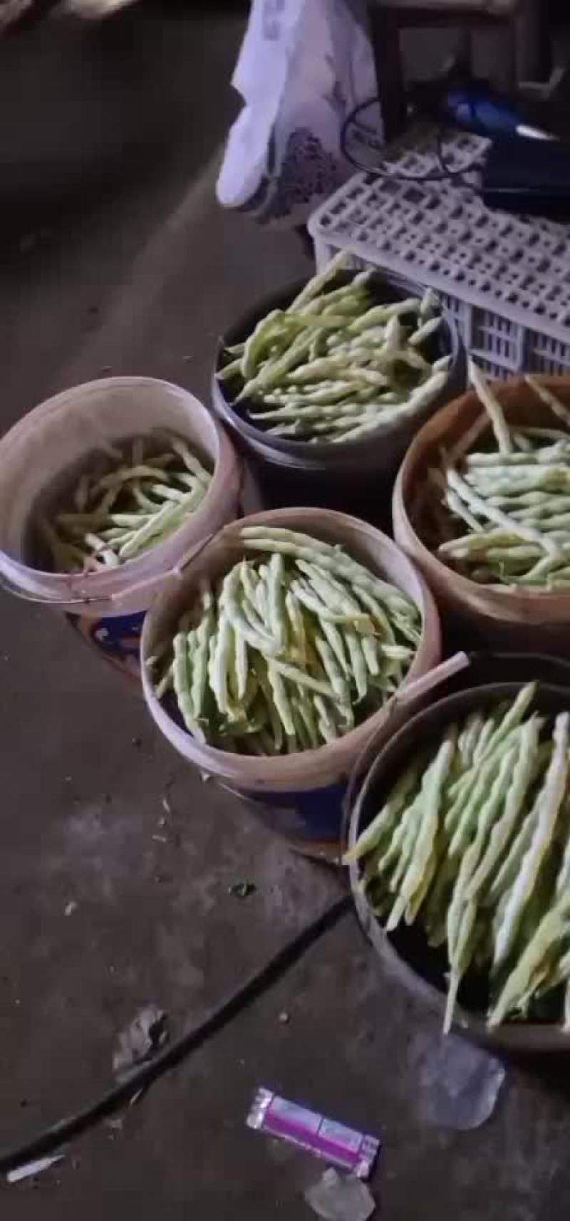精品芸豆大量供应超市。市场。小贩