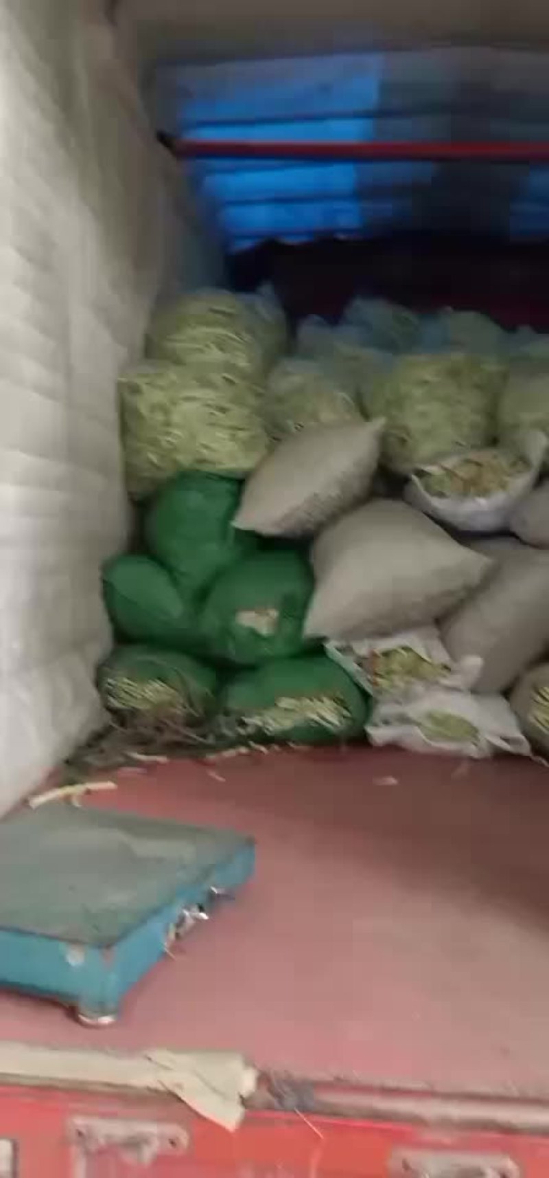 精品芸豆大量供应超市。市场。小贩