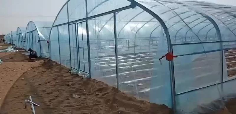 养猪大棚定做各种养殖大棚蔬菜大棚