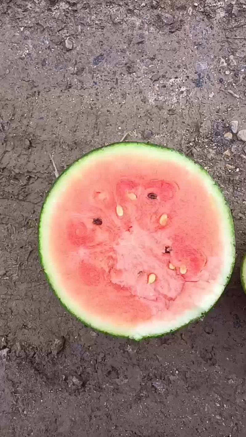 红玉
