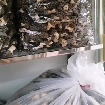 正宗四川羊肚菌各种规格齐全