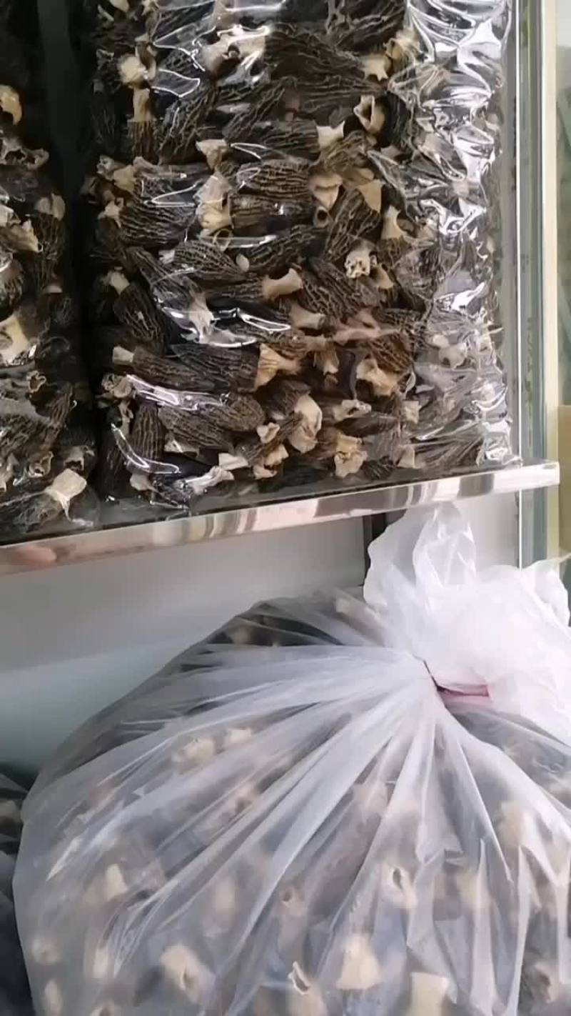 正宗四川羊肚菌各种规格齐全