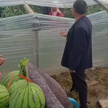 红玉