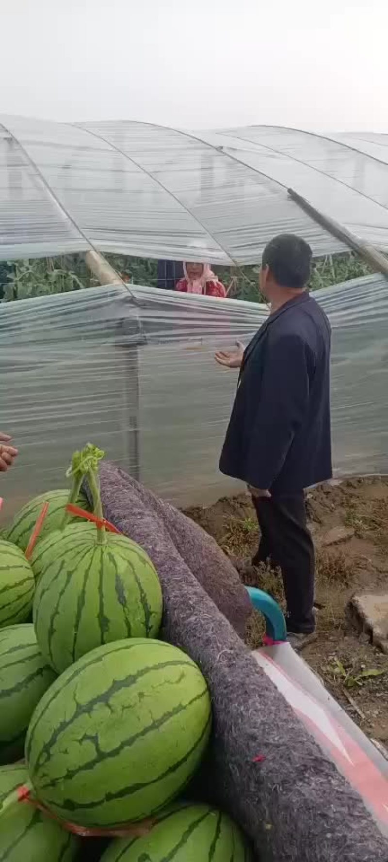 红玉