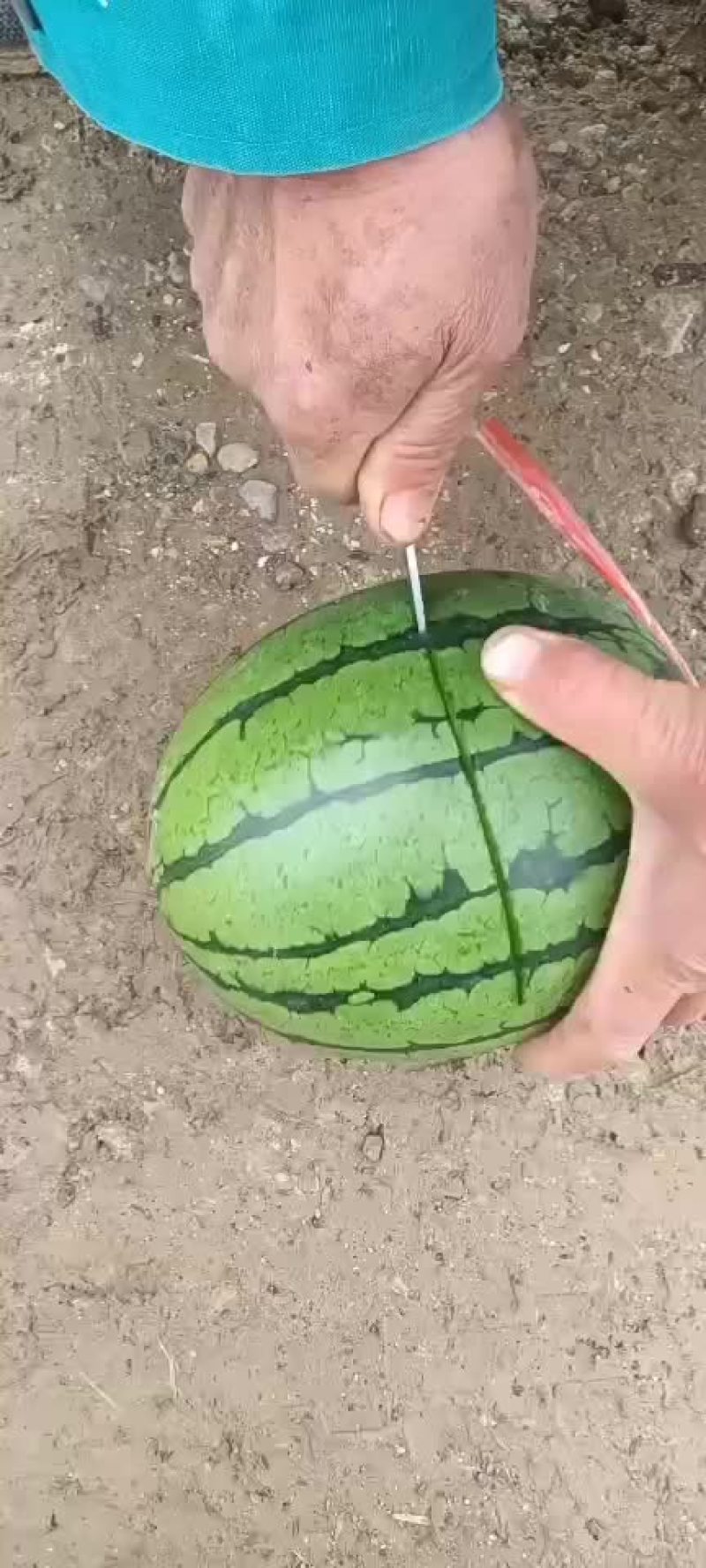 红玉