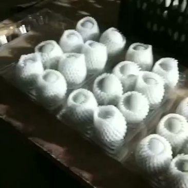 辽宁省一手货源