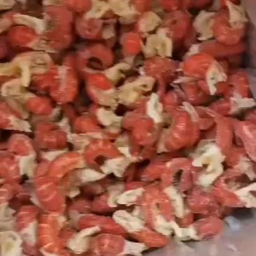 龙虾尾