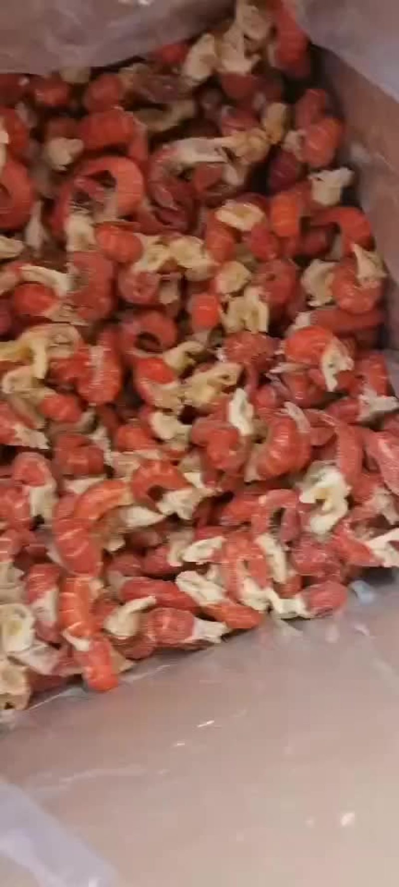 龙虾尾