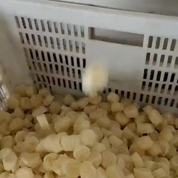 面食，网红吸汁面藕厂家直销，大量批发欢迎联系