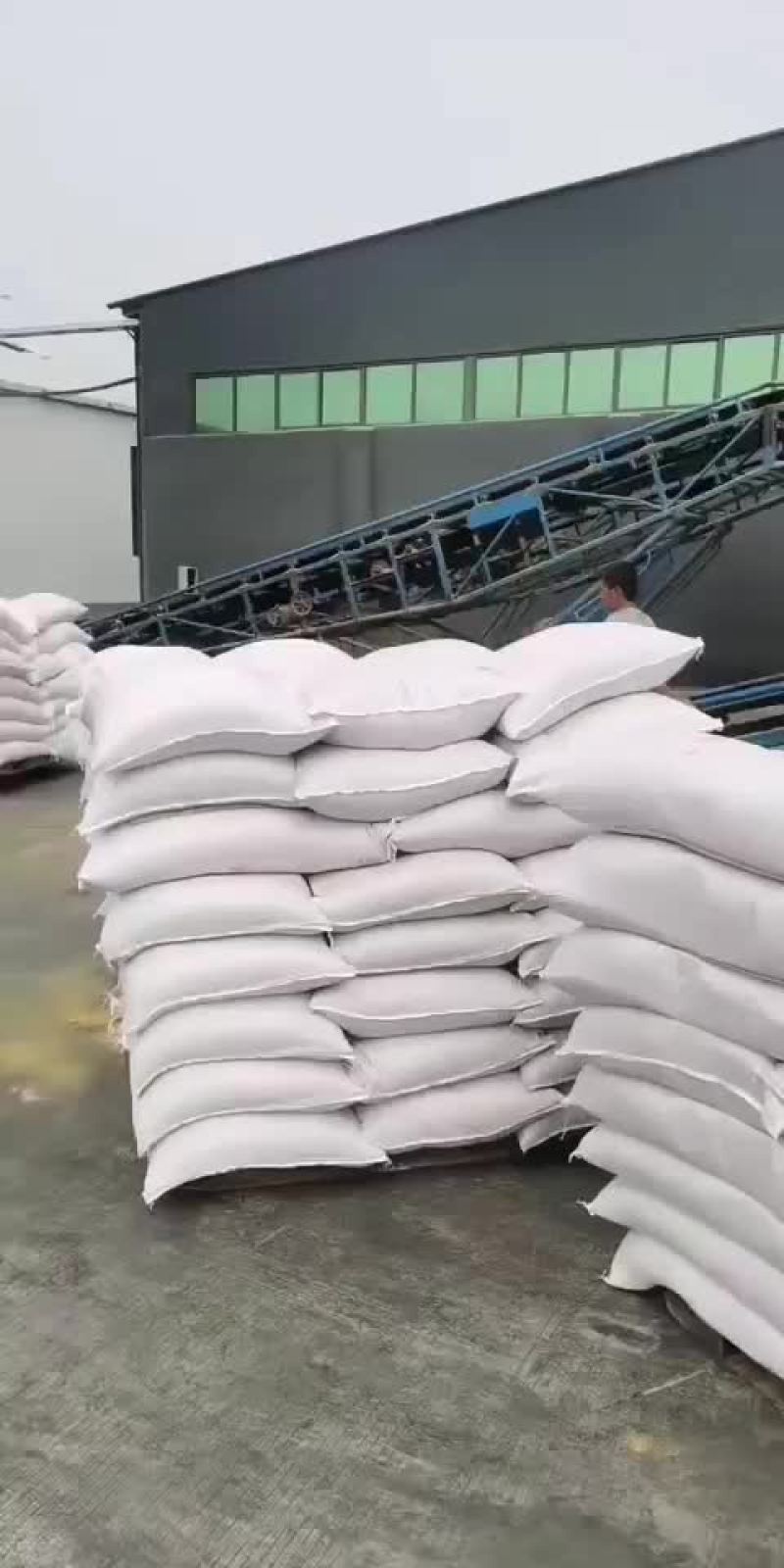 玉米酒糟DDGS玉米酒糟现货