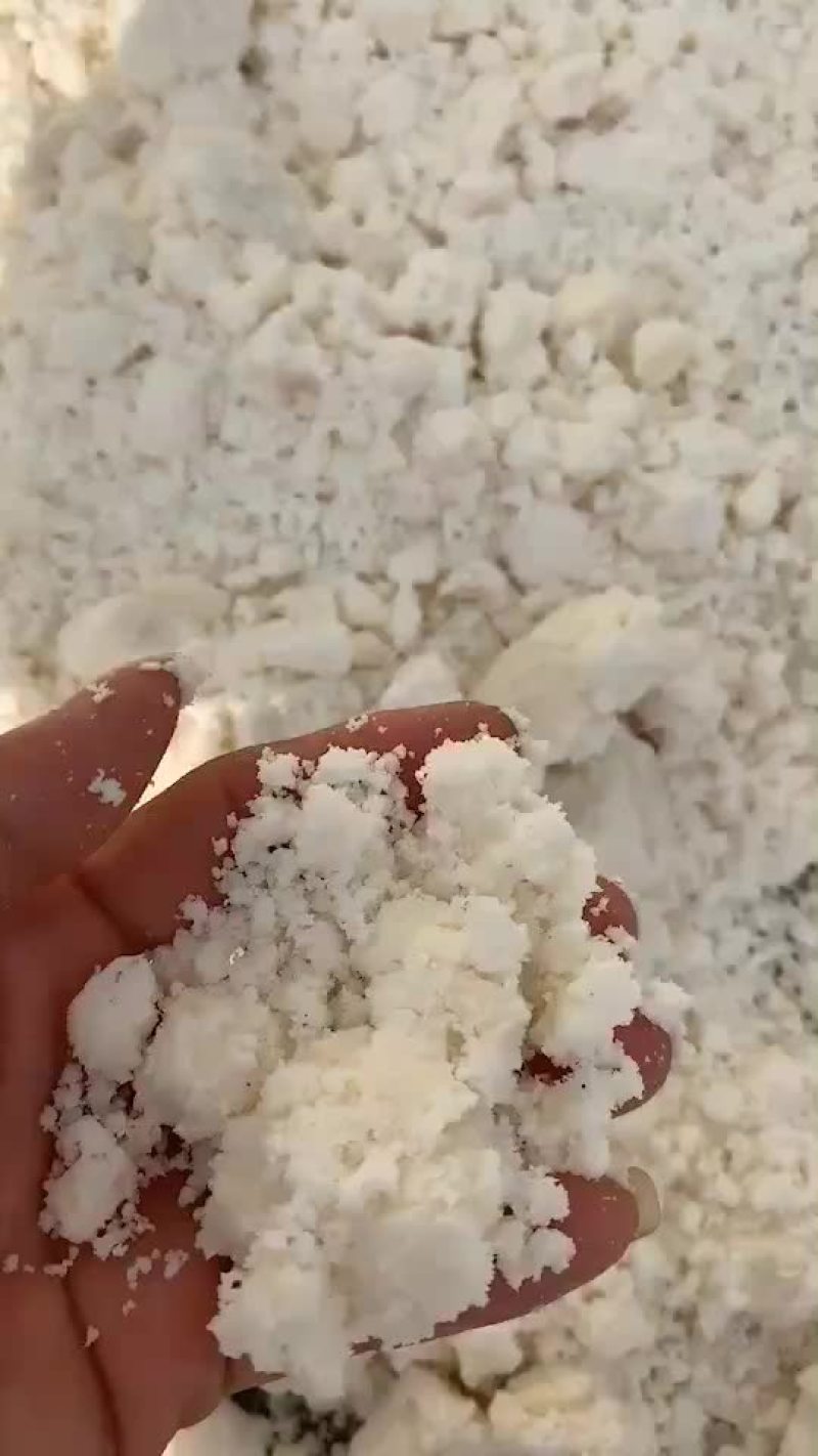 发酵豆渣饲料厂