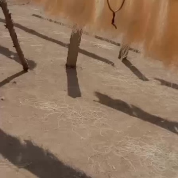 粉条批发