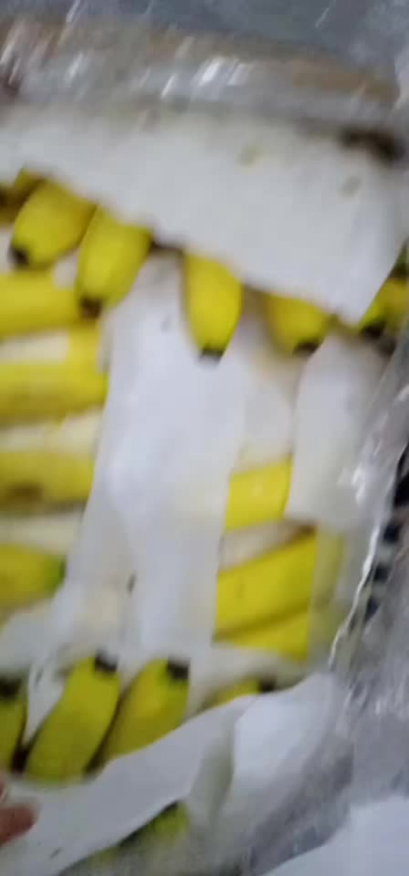 菲律宾进口香蕉，特价处理，常年有货，需要的联系我哦！
