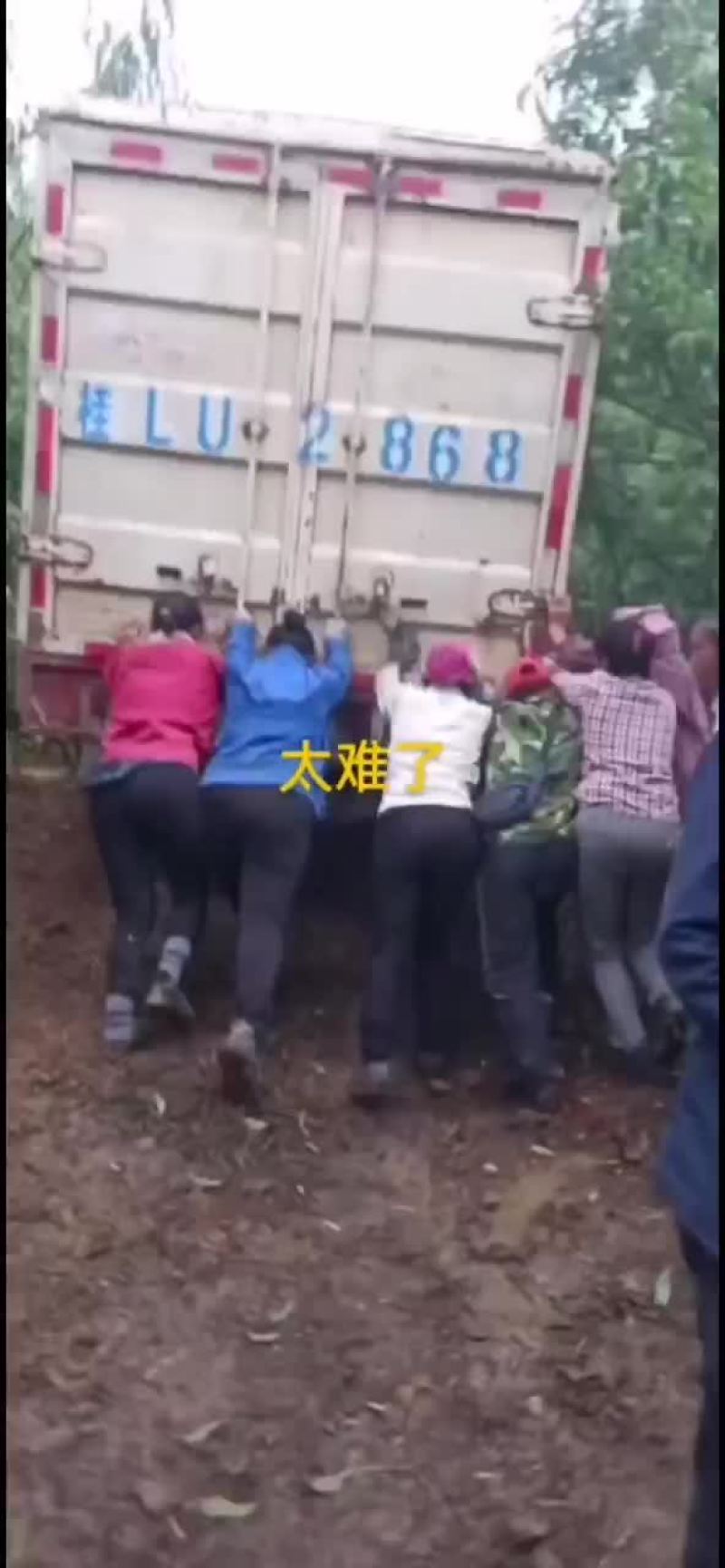 水蜜桃