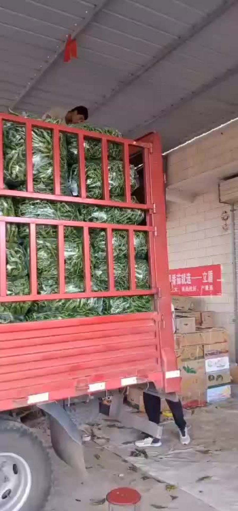 辣椒