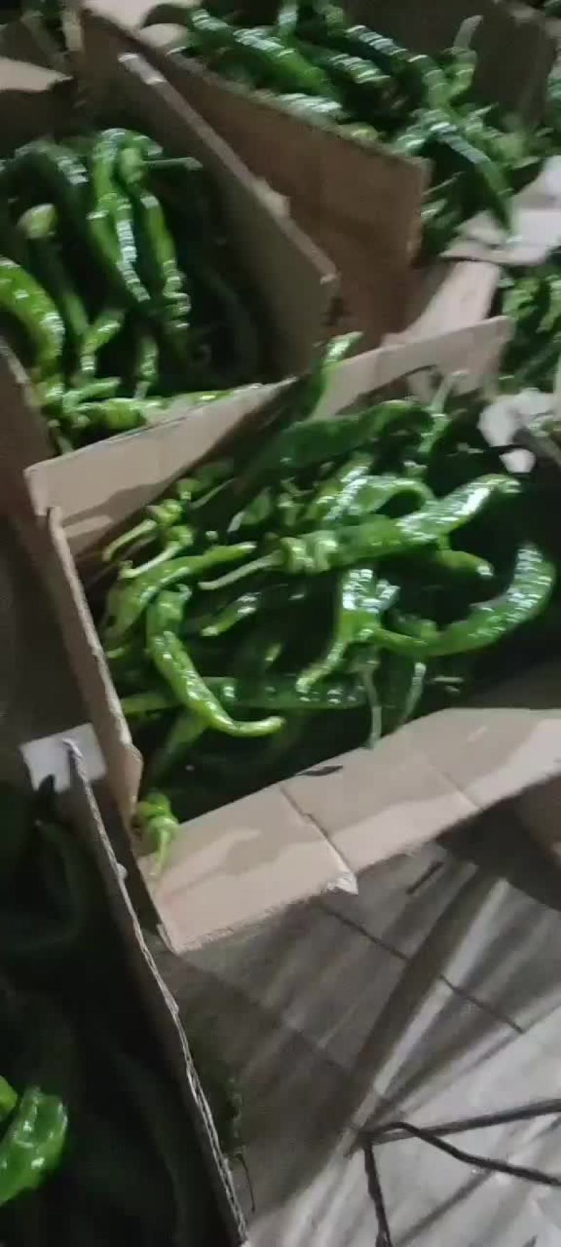 辣椒