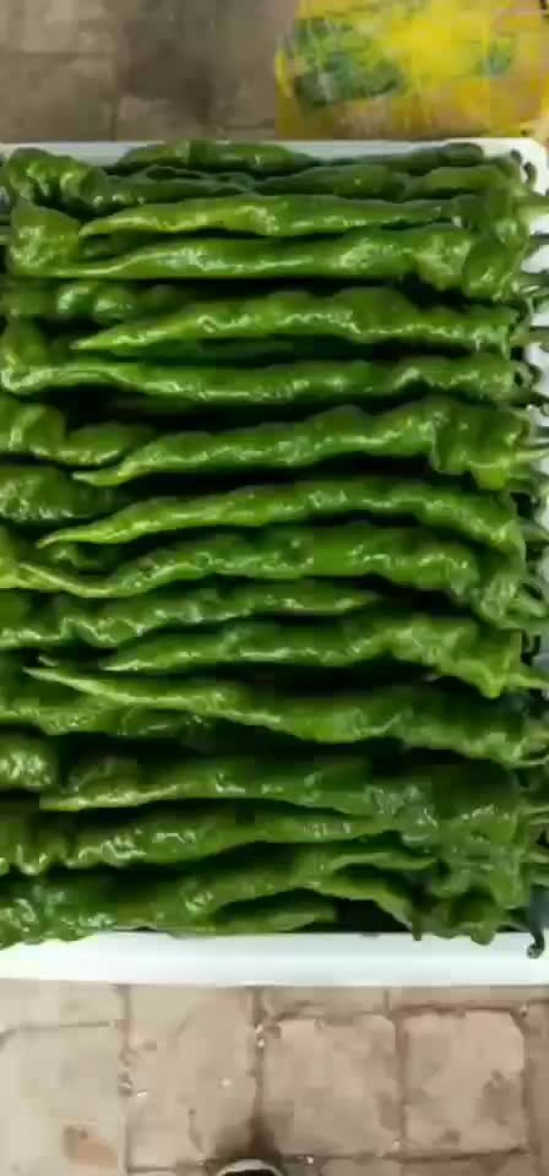 辣椒