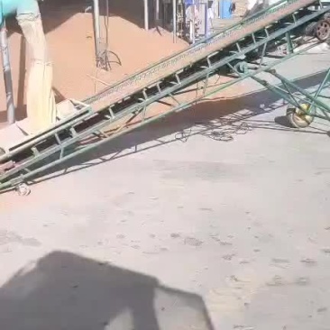 精品红高粱