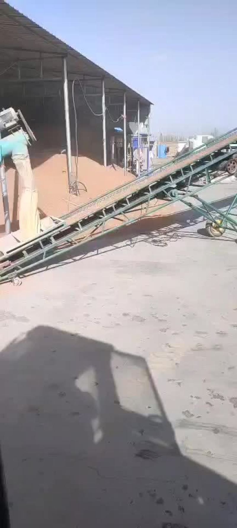 精品红高粱