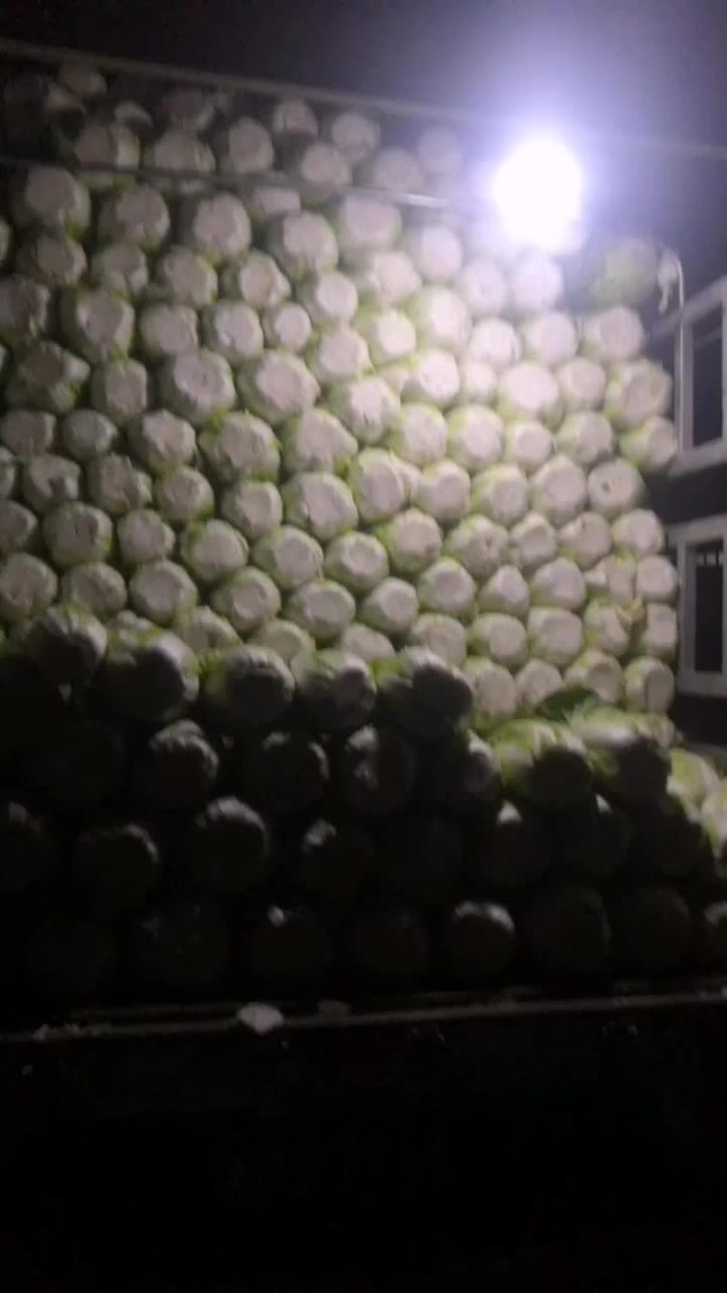 叶菜类