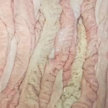 重庆鲜肥肠，猪肚，猪大肠，大肠头，无水基本无油