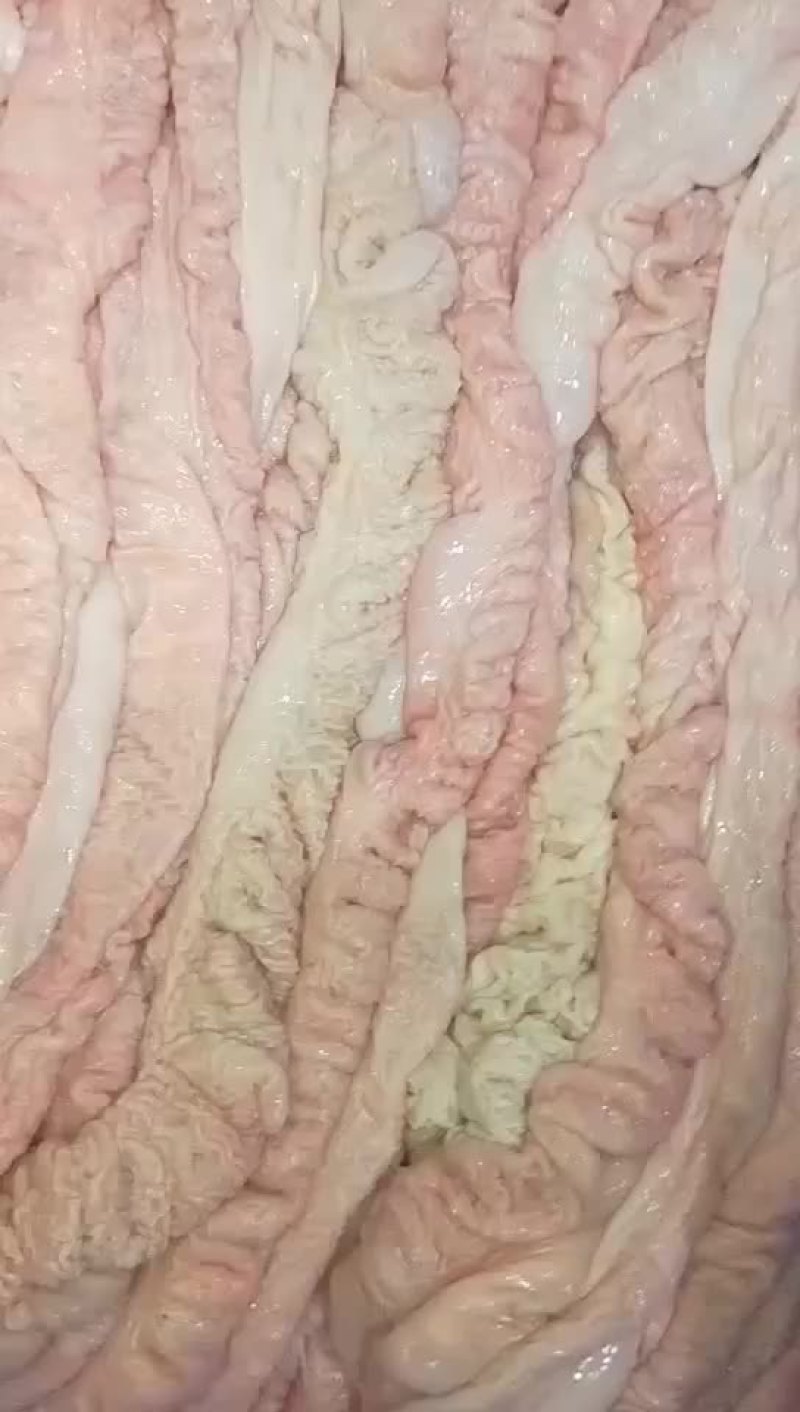 重庆鲜肥肠，猪肚，猪大肠，大肠头，无水基本无油