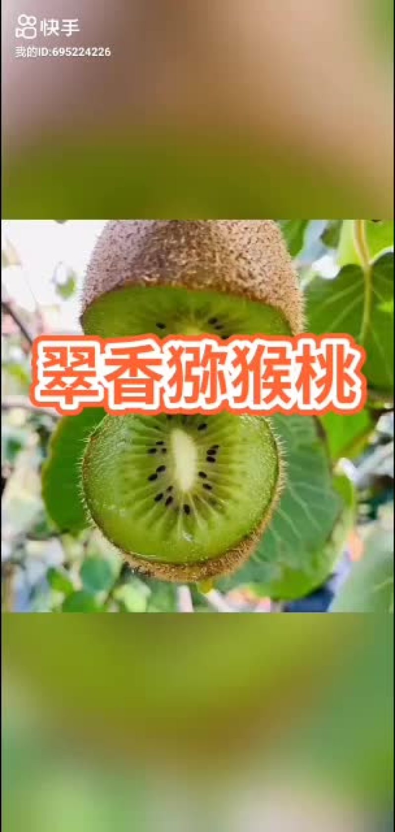 陕西西安周至翠香猕猴桃基地
