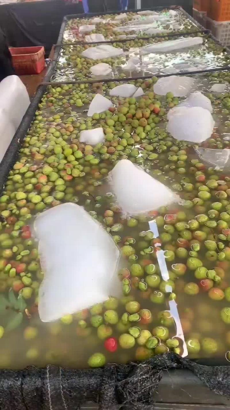 荔枝