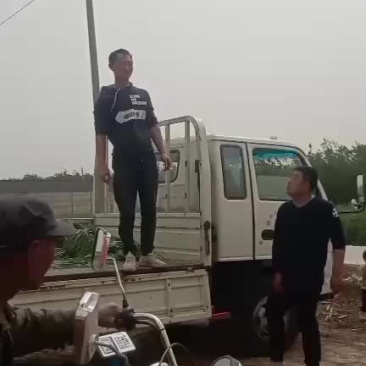蒜苔