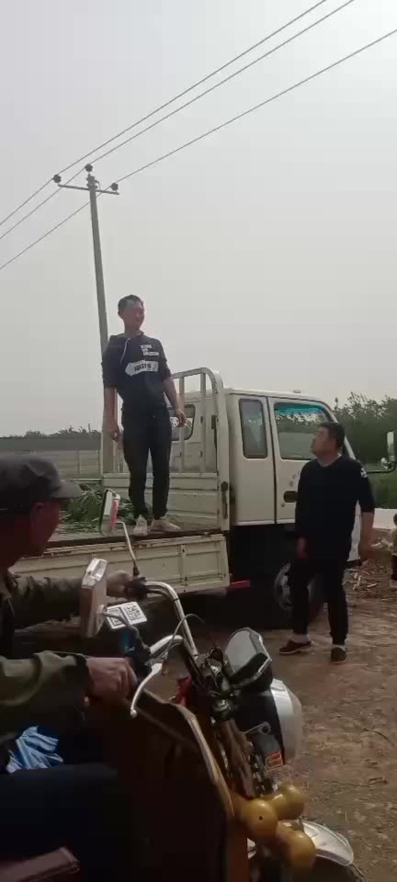 蒜苔