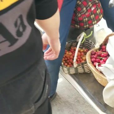 陆地大樱桃