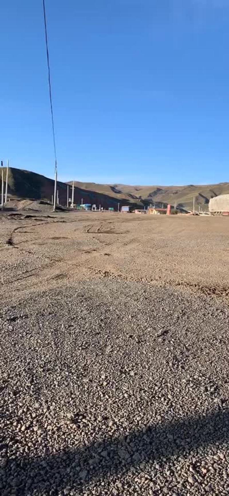 羊粪