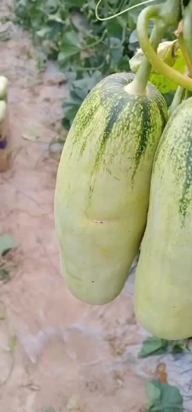 降价了降价了