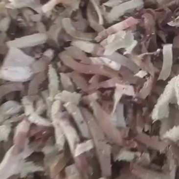 高品质熟牛杂，牛肚，牛头肉，牛肠