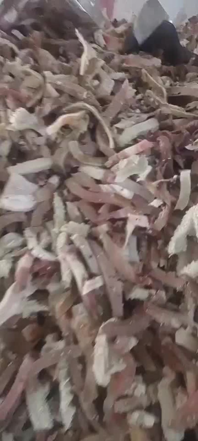 高品质熟牛杂，牛肚，牛头肉，牛肠