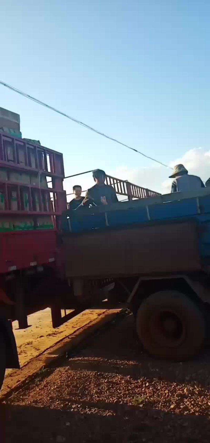 云南文山丽薯六号土豆