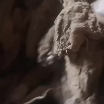 河南产高质量玄参十吨