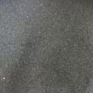 黑心菊种子