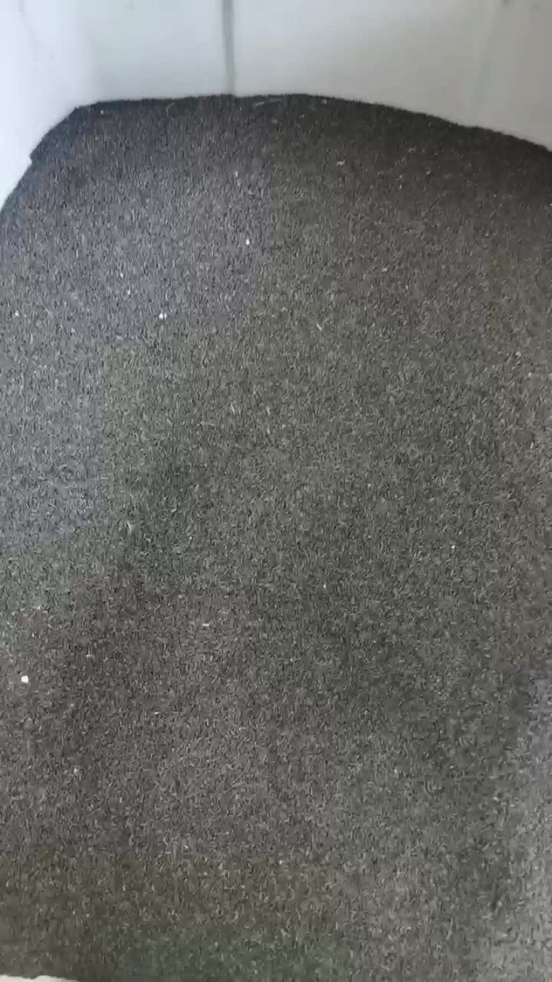 黑心菊种子