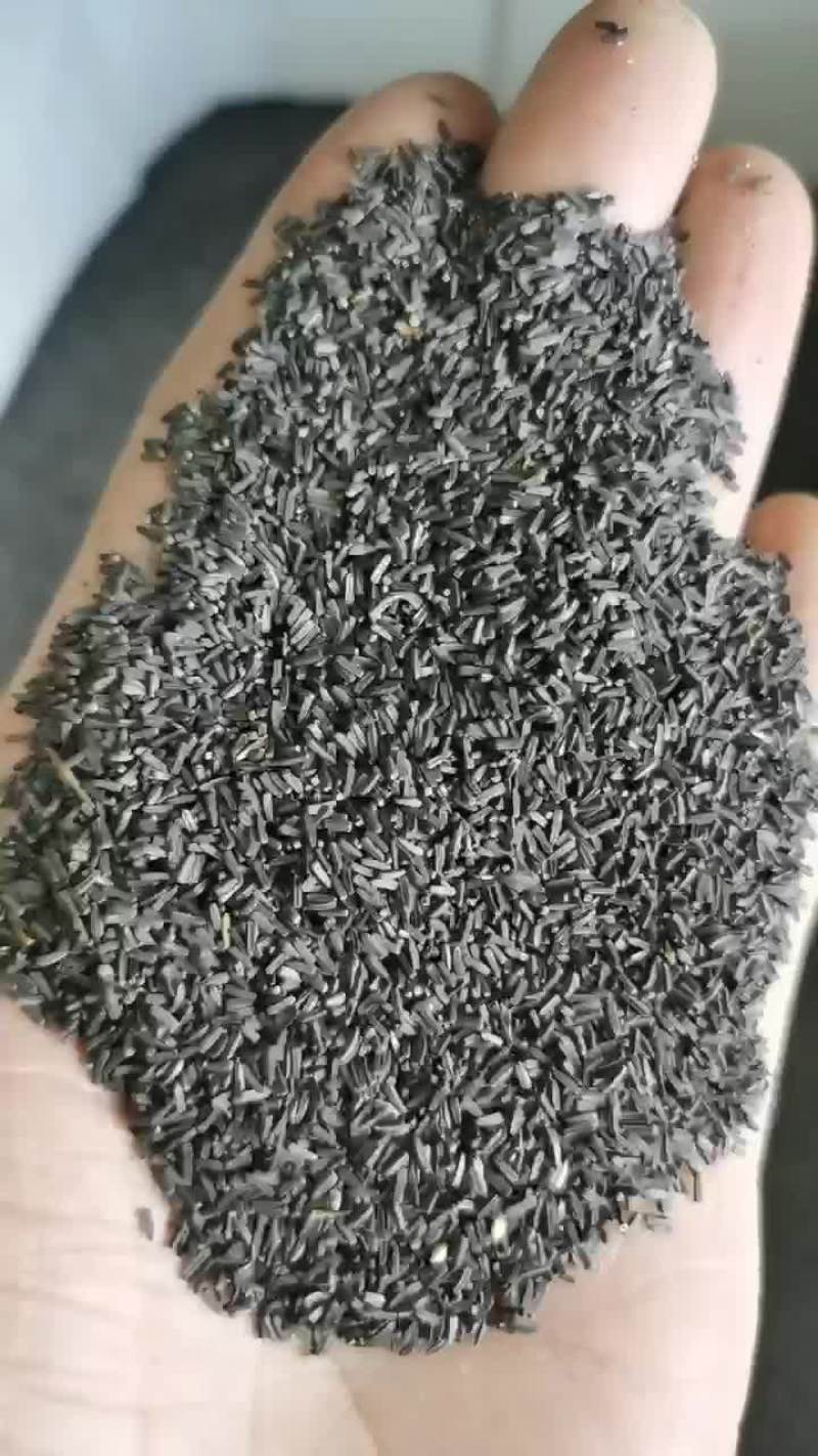 黑心菊种子