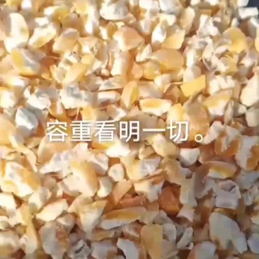 玉米13个水分，容重730以上