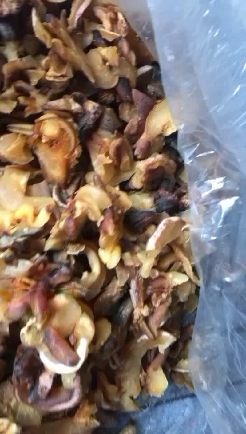 响螺头海螺肉海鲜水产干货深海响螺嘴