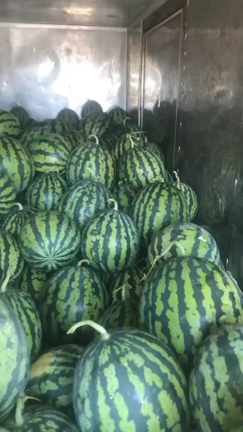 辽南，锦王，甜王，一等好瓜漏大量上市，欢迎你前来选购