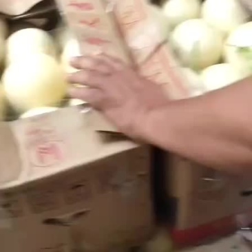 白皮红肉