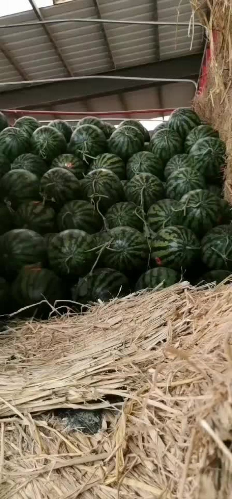新鲜十足